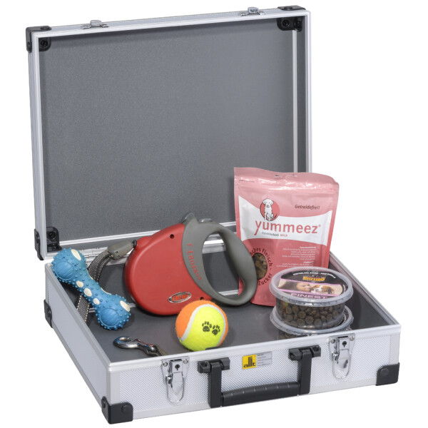 allit Utensilien-Koffer "AluPlus Basic", Größe: L, silber