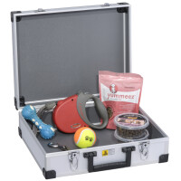 allit Utensilien-Koffer "AluPlus Basic", Größe: L, silber