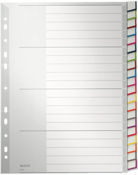 LEITZ Kunststoff-Register, blanko, A4 Überbreite, 5-teilig