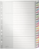 LEITZ Kunststoff-Register, blanko, A4 Überbreite, 15-teilig