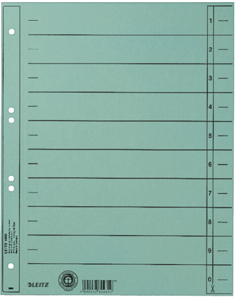 LEITZ Trennblätter, A4 Überbreite, Manilakarton 230g qm,blau