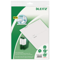 LEITZ Ordnerrücken-Einsteckschild, 176 x 146 mm, grau