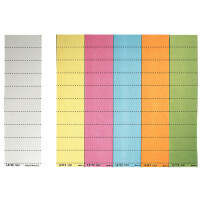 LEITZ Blanko-Beschriftungsschildchen, (B)50 x (H)15 mm,...