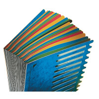 LEITZ Pultordner Deskorganizer Color, A4, 1-24 A-Z, blau