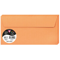 Pollen by Clairefontaine Briefumschlag DL, elfenbein