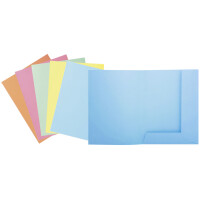 EXACOMPTA Aktendeckel SUPER 250, DIN A4, chamois