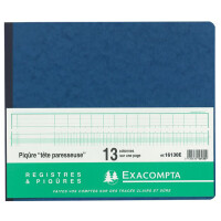 EXACOMPTA Geschäftsbuch mit Kopfleiste, 24 Spalten