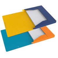 Oxford Sammelbox Bicolor Recyc+, DIN A4, farbig sortiert