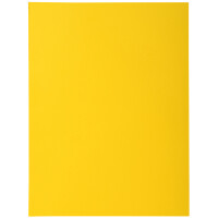 EXACOMPTA Aktendeckel ROCKS, DIN A4, violett