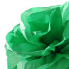 CANSON Seidenpapier, grün, Maße: 0,5 x 5,0 m, 20 g qm