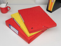 Oxford Sammelbox Top File+, 25 mm, DIN A4, rot