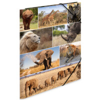 HERMA Eckspannermappe "Delfine", aus Karton,...