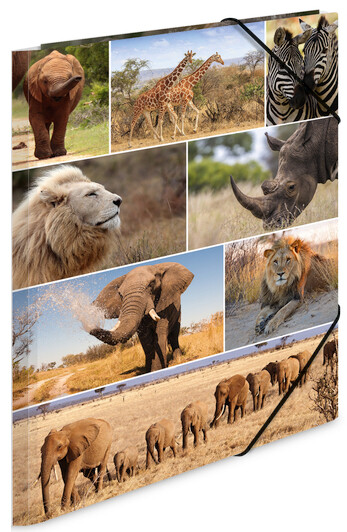HERMA Eckspannermappe "Afrika Tiere", aus Karton, DIN A3