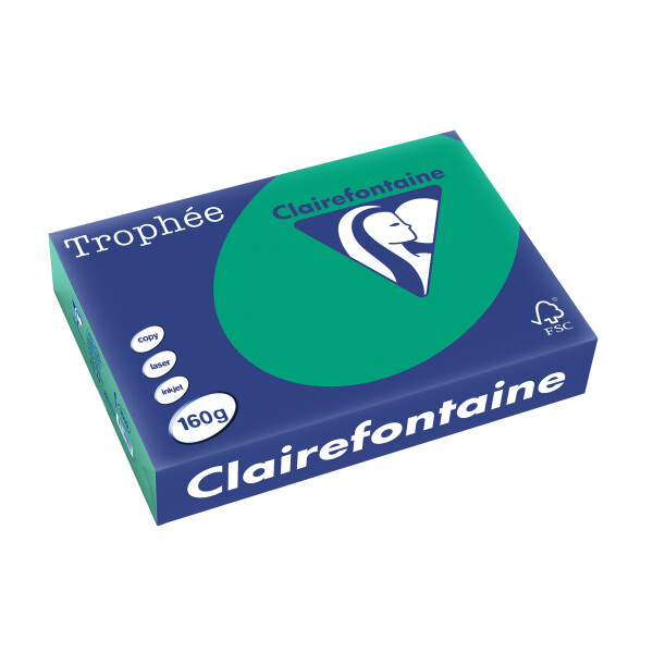 Clairefontaine Multifunktionspapier Trophée, A4, tannengrün