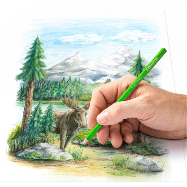 STAEDTLER Buntstift Design Journey, 12er Metalletui