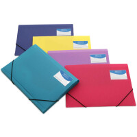 RAPESCO Eckspannermappe, DIN A4+, PP, transparent sortiert