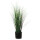 PAPERFLOW Kunstpflanze "Gras", Höhe: 550 mm