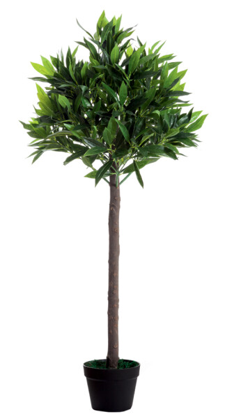 PAPERFLOW Kunstpflanze "Olivenbaum", Höhe: 1250 mm