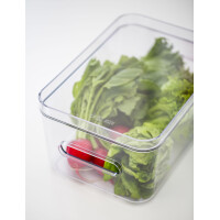 smartstore Aufbewahrungsbox COMPACT CLEAR L, 15,4 Liter