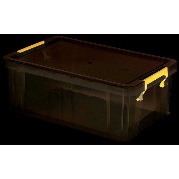 Fellowes Aufbewahrungsbox ProStore, 10 Liter, 4er-Set