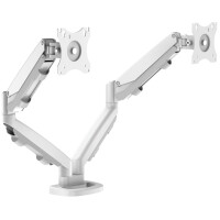 Fellowes Doppel-Monitorarm Eppa, schwarz