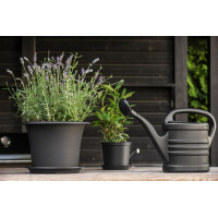 orthex Gießkanne, 10,0 Liter, schwarz